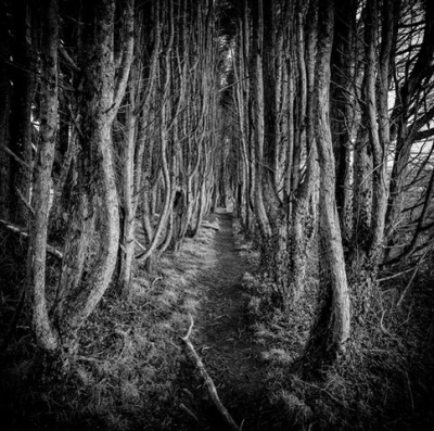 Dsc 4465-edit-edit-edit